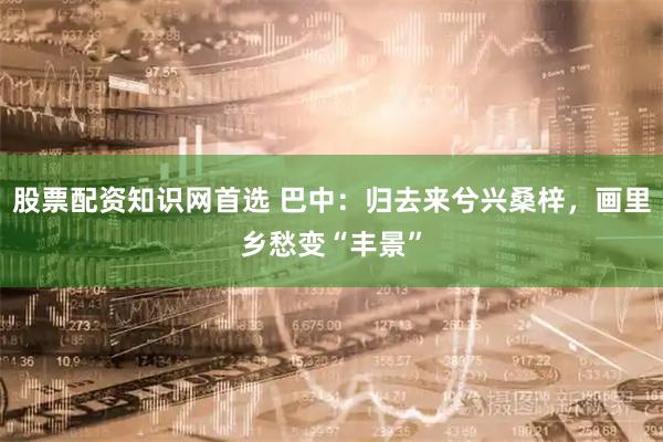 股票配资知识网首选 巴中：归去来兮兴桑梓，画里乡愁变“丰景”
