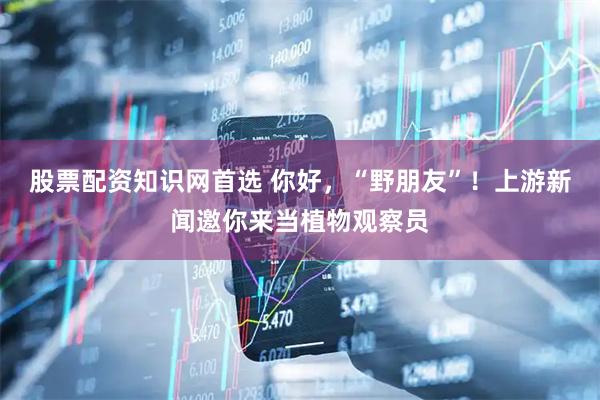 股票配资知识网首选 你好，“野朋友”！上游新闻邀你来当植物观察员
