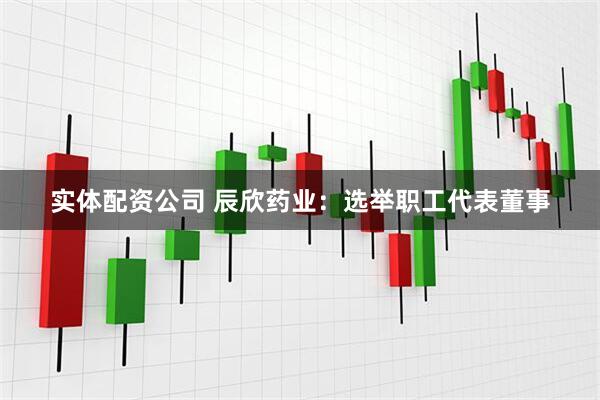 实体配资公司 辰欣药业：选举职工代表董事