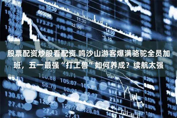 股票配资炒股看配资 鸣沙山游客爆满骆驼全员加班，五一最强“打工兽”如何养成？续航太强